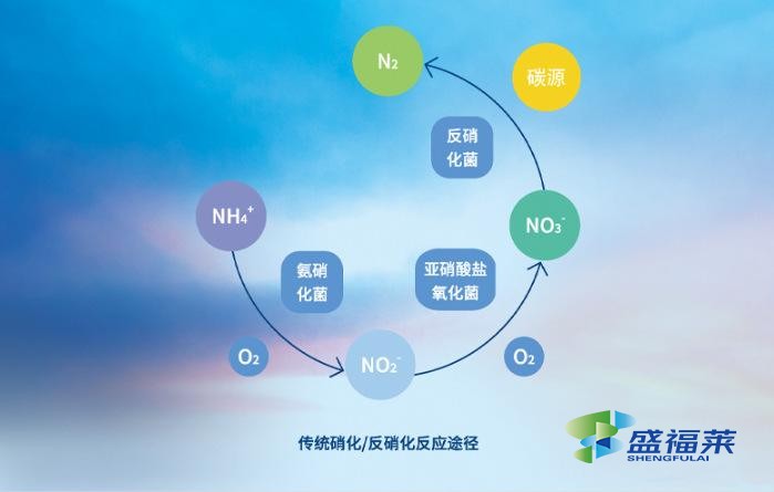 復合碳源優(yōu)于傳統(tǒng)碳源的理由是什么?（復合碳源在污水處理中的作用）