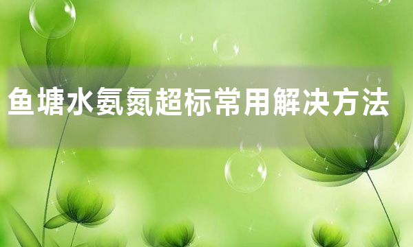 魚塘氨氮超標最簡單的處理方法（魚塘水氨氮超標常用解決方法）