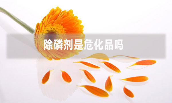 除磷劑是?；穯? width=