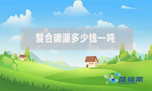 復(fù)合碳源多少錢一噸？