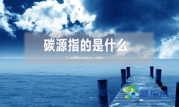 碳源指的是什么？