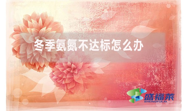 冬季氨氮不達(dá)標(biāo)怎么辦？