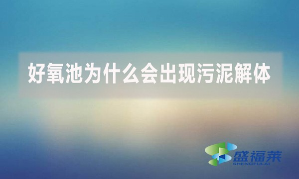 好氧池為什么會(huì)出現(xiàn)污泥解體？上清液細(xì)碎污泥多是怎么回事？