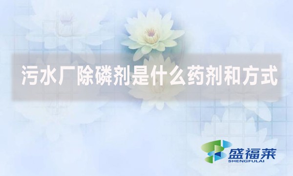 污水廠除磷劑是什么藥劑和方式？