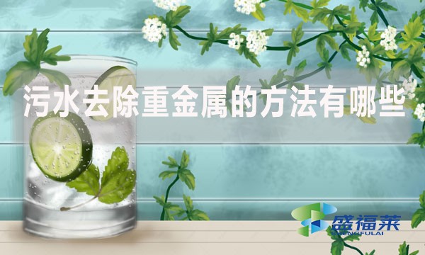 污水去除重金屬的方法有哪些？