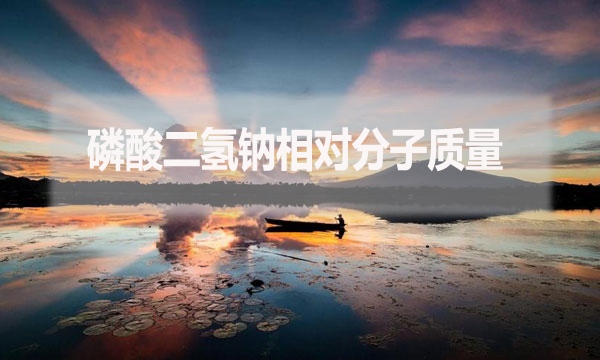 磷酸二氫鈉相對分子質(zhì)量是什么？應該怎么算？