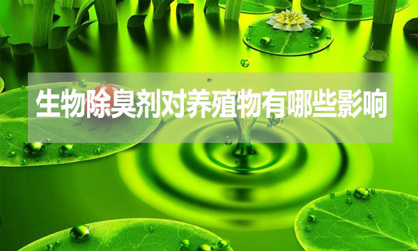 生物除臭劑對動物有哪些影響？