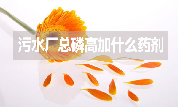 污水廠總磷高加什么藥劑？